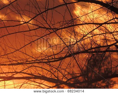Beautiful Sunset