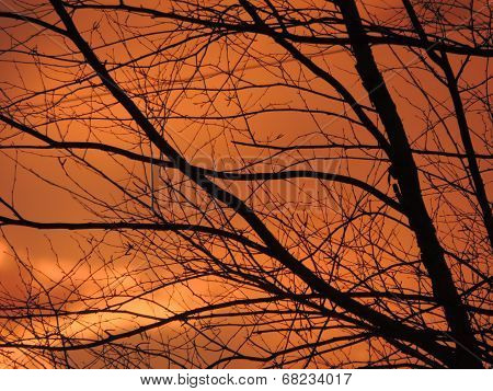 Beautiful Sunset