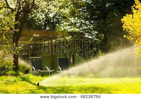 Gardening. Lawn Sprinkler Spraying Water Over Grass.