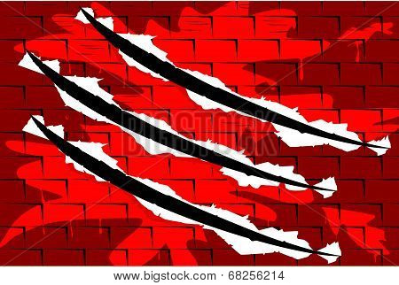 Blood splash on wall with trace of large talon