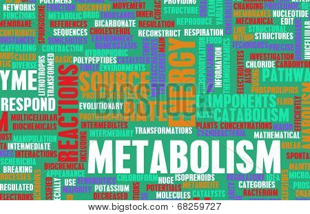 Metabolism as a Medical Health Exercise Concept