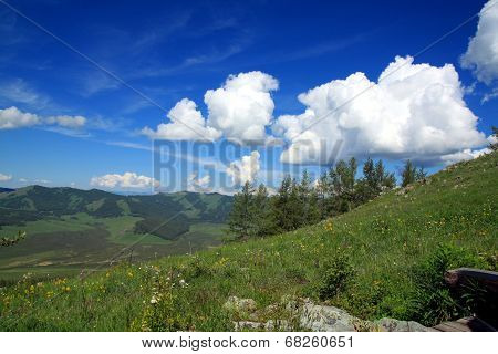 Summertime in the mountains