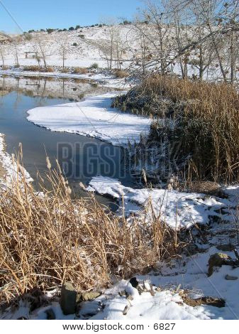 หิมะรอบบ่อ