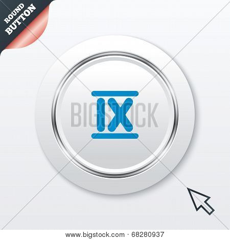 Roman numeral nine icon. Roman number nine sign.