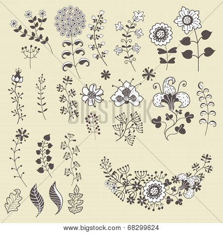 Set Of Outline Flowers Elemments.flowers,branches,berries