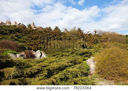 Rockery (alpine Garden) In Kyiv Botanical Garden
