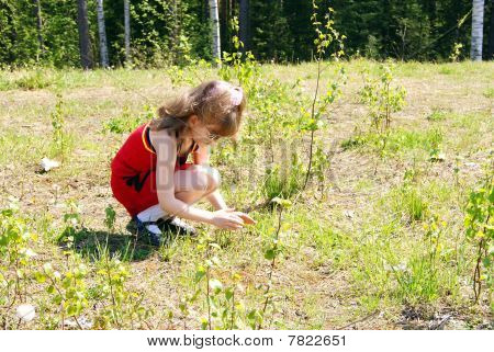 The child catches the butterfly