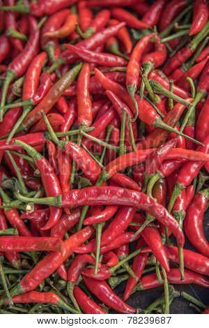 Spicy Chilli