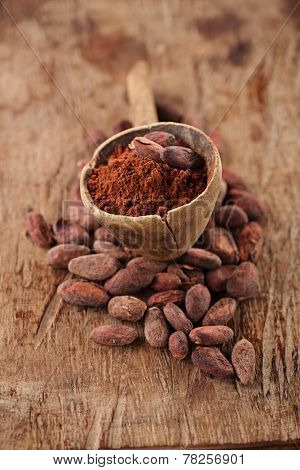 cocoa powder in spoon on roasted cocoa chocolate beans background