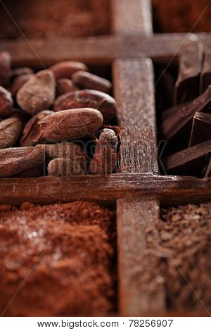 old spicy box full of chocolate - cocoa and sugar, cocoa beans, grated chocolate, hot chocolate flakes, solid pieces, dark cocoa powder