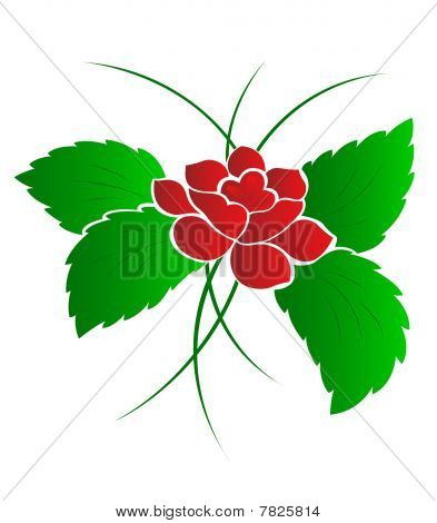 Schema di un fiore, una rosa