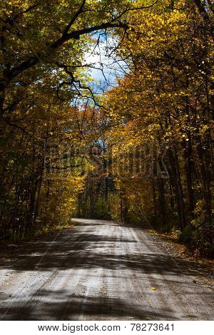 Midwestern back road