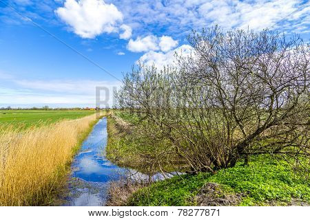 Achterwasser In Usedom At The Baltic Sea