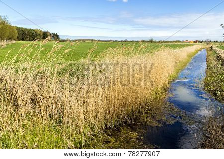 Achterwasser In Usedom At The Baltic Sea