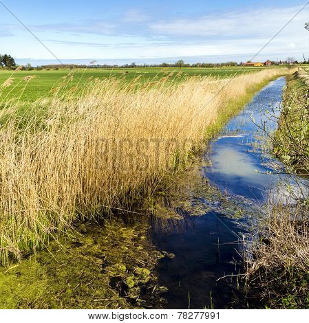 Achterwasser In Usedom At The Baltic Sea