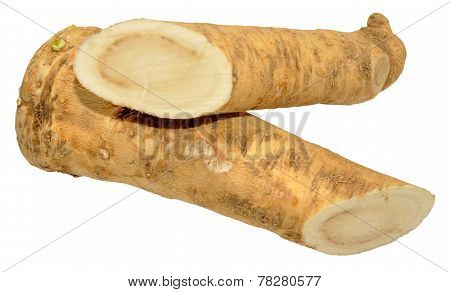 Horseradish Root