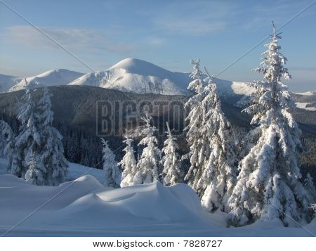 Winter in Bergen