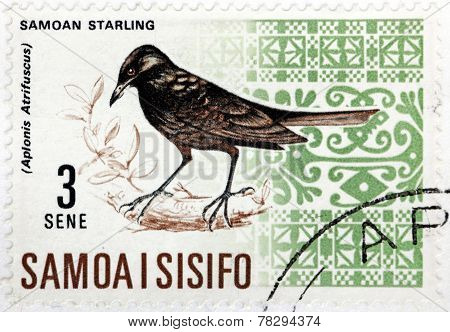 Samoan Starling