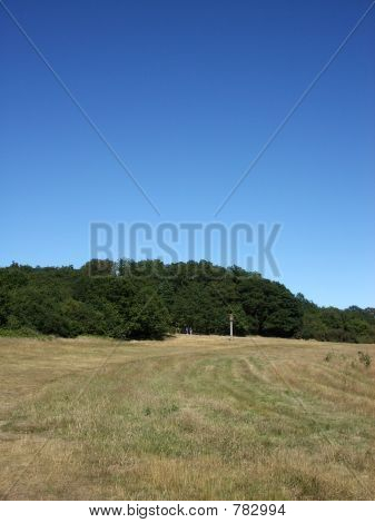 Hainault Wald 7