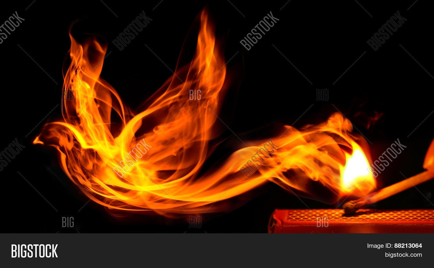 Bird Made Fire Comes Image & Photo (Free Trial) Bigstock