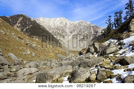 Himalayan mountains with snow peaks and forests