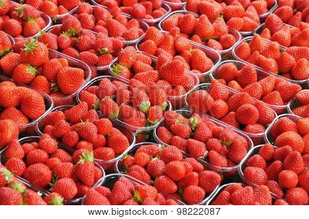 Picturesque Market Of La Baule In Loire Atlantique