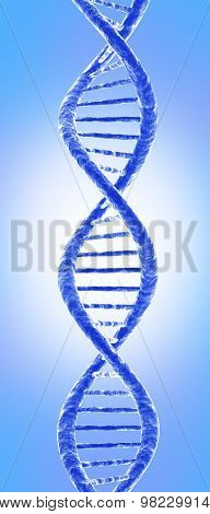 DNA molecule