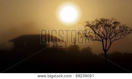 Foggy Morning Sunrise Rural Landscape