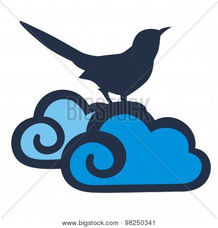 birds and clouds