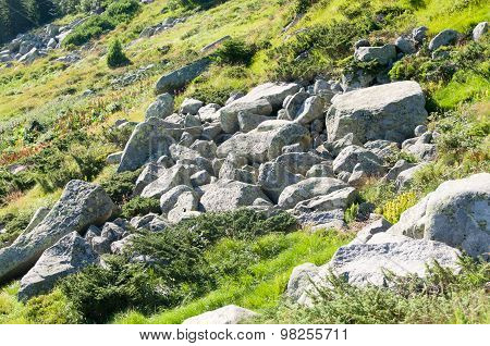 Mountain