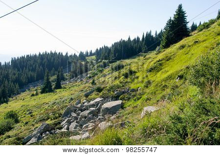 Mountain