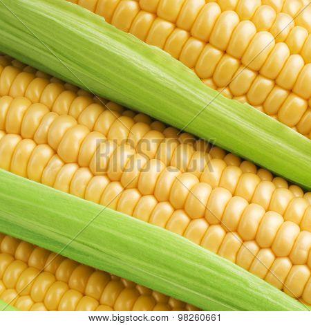 Corn