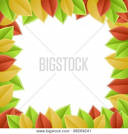 leaves autumn