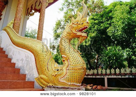 Gold dragon