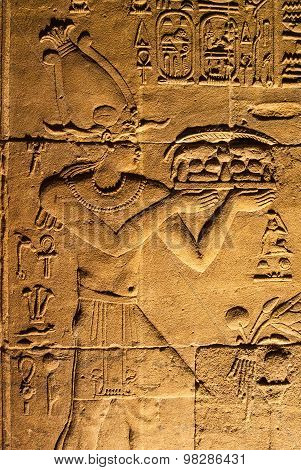 Egyptian Hieroglyph