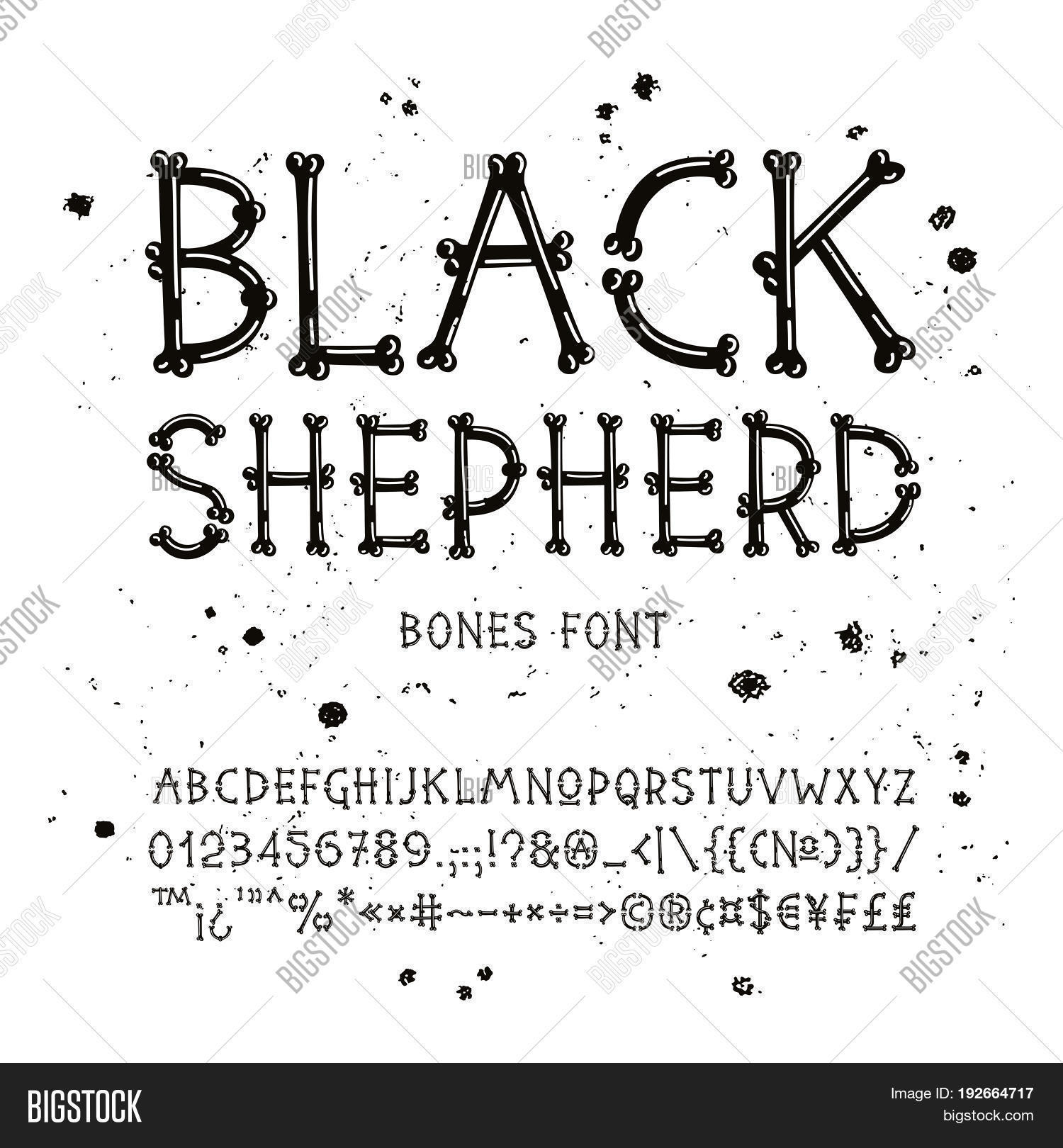 Vector Font Bones Photo Free Trial Stock Vector Font From Bones Elements For Design And Dia De Los Muertos