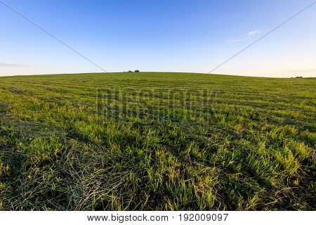 Cultivated Land In The Countryside On A Summer.