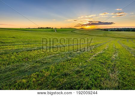 Sunset At Cultivated Land In The Countryside On A Summer.