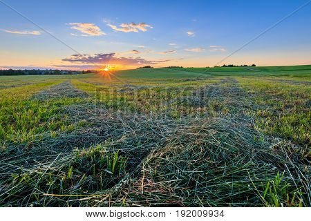 Sunrise At Cultivated Land In The Countryside On A Summer.