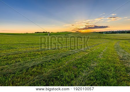 Sunset At Cultivated Land In The Countryside On A Summer.