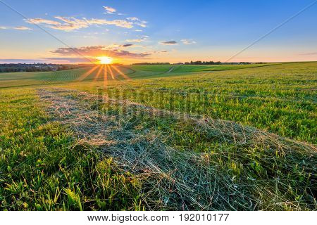 Sunrise At Cultivated Land In The Countryside On A Summer.