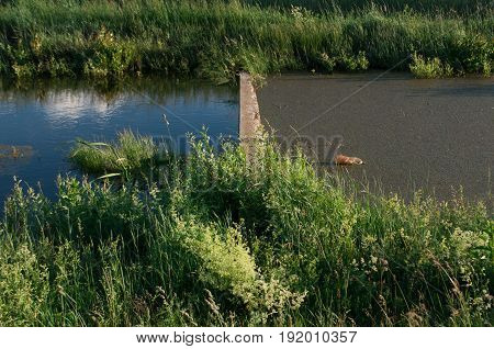 Environmental pollution, garbage in the water, dirty and clean water
