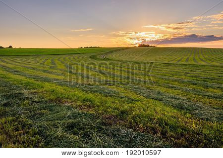 Sunset At Cultivated Land In The Countryside On A Summer.