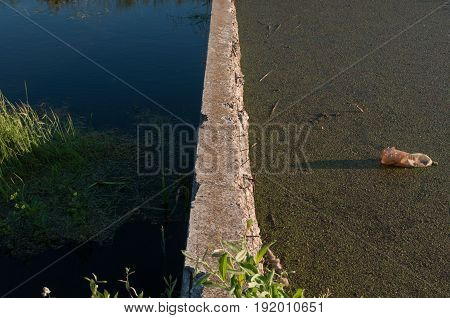 Environmental pollution, garbage in the water, dirty and clean water