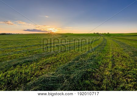 Sunrise At Cultivated Land In The Countryside On A Summer.