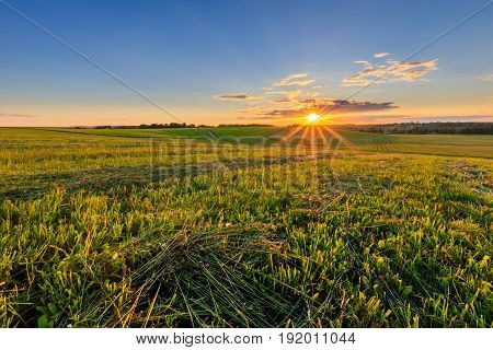 Sunset At Cultivated Land In The Countryside On A Summer.