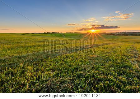 Sunset At Cultivated Land In The Countryside On A Summer.