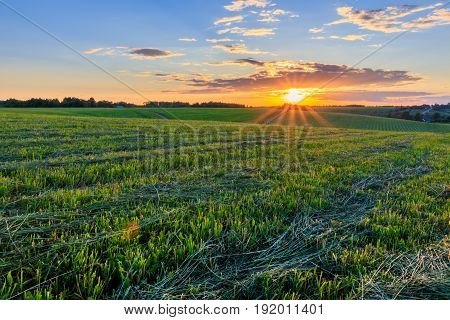 Sunset At Cultivated Land In The Countryside On A Summer.