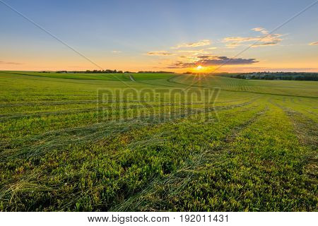 Sunset At Cultivated Land In The Countryside On A Summer.