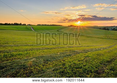 Sunset At Cultivated Land In The Countryside On A Summer.